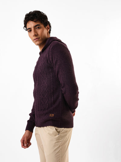 Men's Solid Cable Knit Hooded Front-Open Sweater