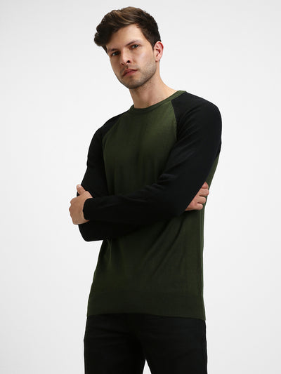 Dennis Lingo Men's Olive Colourblock  Full Sleeves Pullover Sweater