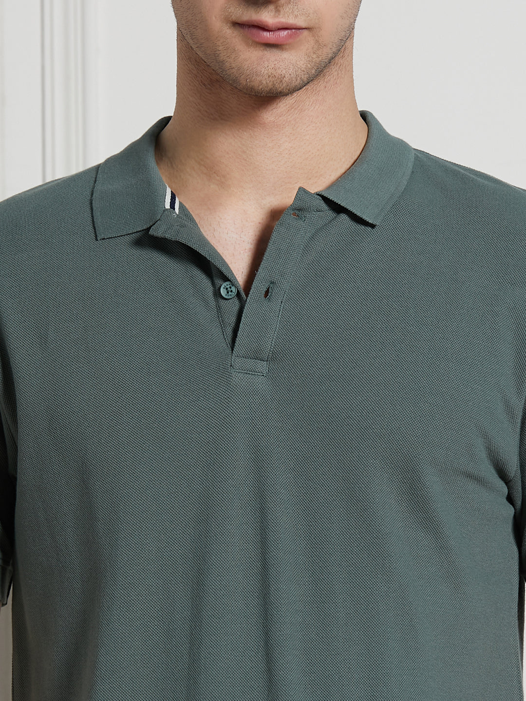 Men's Sage green Cotton Regular Fit Polo T-Shirt