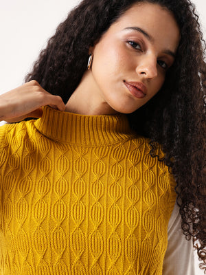 Women Solid Regular Regular Fit Round Neck Sleevless Sweater