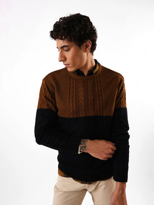 Men's Black & Brown Colourblocked Cable Knit Round Neck Pullover Sweater