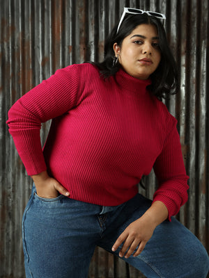 Women Plus Size Ribbed Turtle Neck Pullover