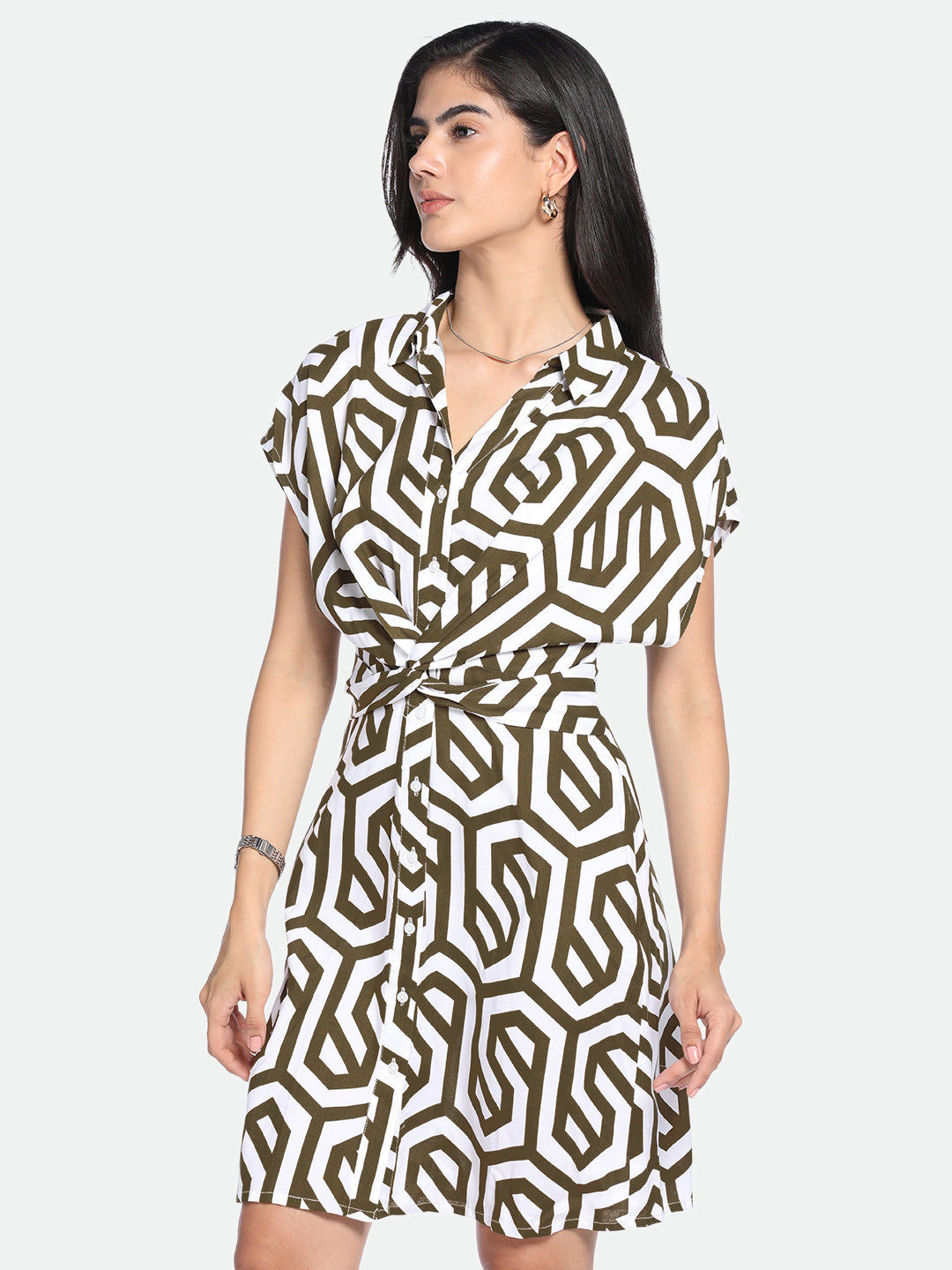 Shirt Collar Regular Fit Printed Brown Dress